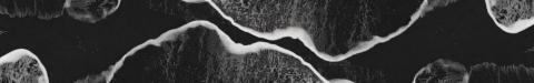 waves