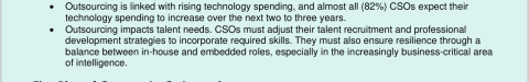 Document titled "PLACEMENT" explaining the future of cyber-outsourcing and corporate security on light blue paper