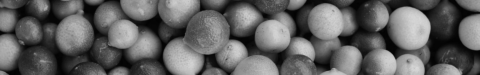 Survey: Diversity and Inclusion in the Security Industry